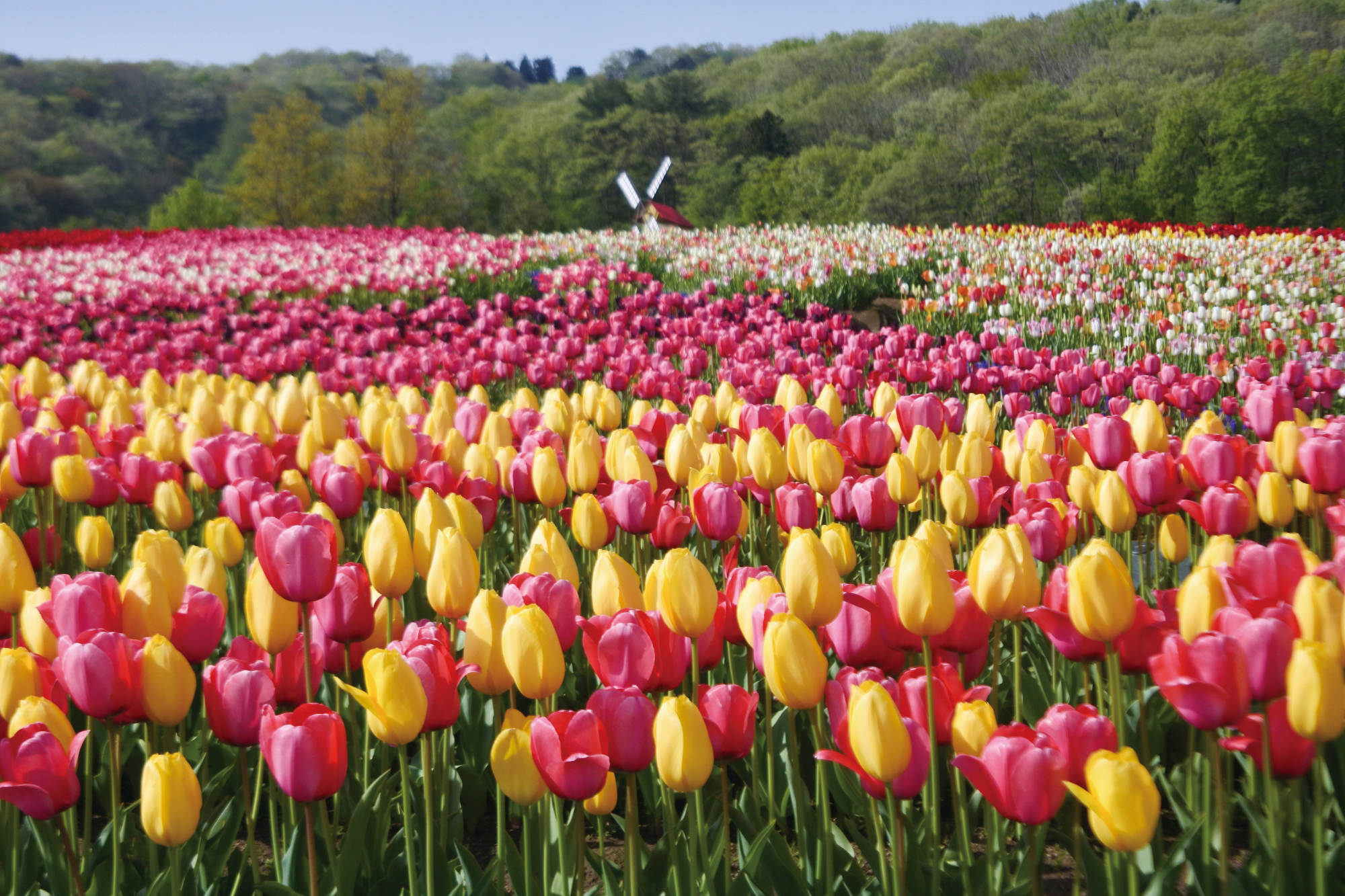 1280fd9afcb9679b3a028467062fcb